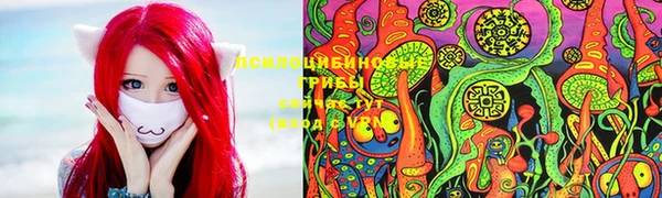 каннабис Аркадак