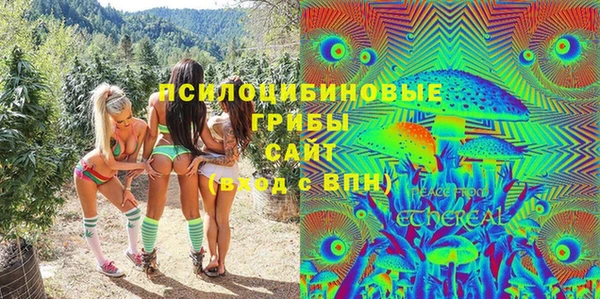 apvp Семёнов